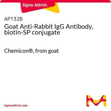 Anticuerpo IgG anti-conejo de cabra, conjugado de biotina-SP Chemicon&#174;, from goat