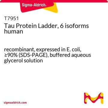 Tau Protein Ladder, 6 isoforms recombinant, expressed in E. coli, &#8805;90% (SDS-PAGE), buffered aqueous glycerol solution