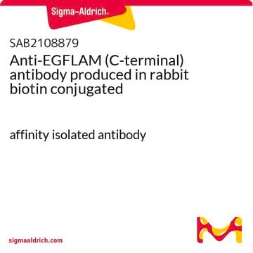 Anti-EGFLAM (C-terminal) antibody produced in rabbit biotin conjugated affinity isolated antibody