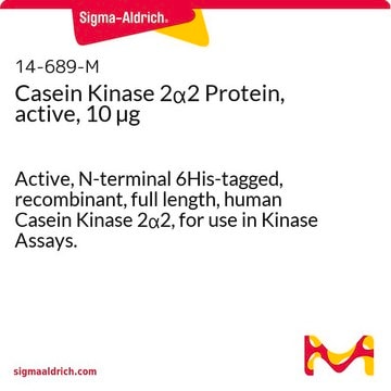 Casein Kinase 2&#945;2 Protein, active, 10 &#181;g Active, N-terminal 6His-tagged, recombinant, full length, human Casein Kinase 2&#945;2, for use in Kinase Assays.