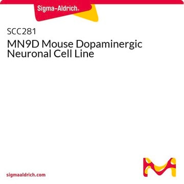 Lignée de cellules neuronales dopaminergiques de souris&nbsp;MN9D