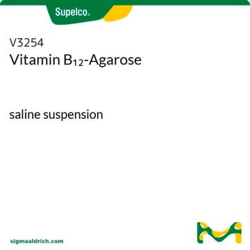 Vitamin B12-Agarose saline suspension