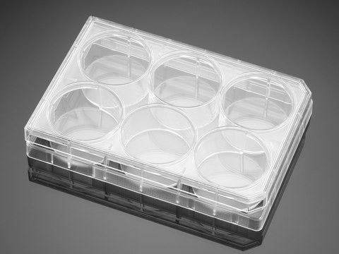 Corning&#174; BioCoat&#8482; Poly-L-Lysine Multiwell Plate well size 6&#160;wells, flat bottom clear wells, lid