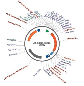 PSF-OXB20-COOH-3C-MBP-6HIS - C-TERMINAL 6 HIS AND MBP DUAL TAG BACTERIAL PLASMID plasmid vector for molecular cloning