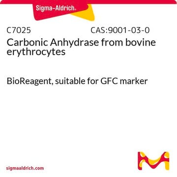 Anhydrase carbonique from bovine erythrocytes BioReagent, suitable for GFC marker