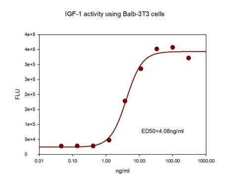 IGF-I human Animal-component free, recombinant, expressed in E. coli, suitable for cell culture