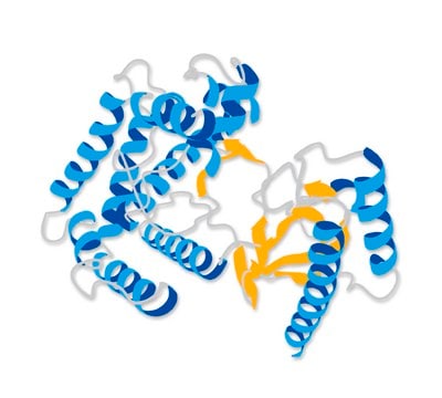 Complement C5, Human Complement C5, Human, CAS 80295-53-0. is a native glycoprotein composed of two non-identical subunits of M.W. 120 kDa (&#945;) and 75 kDa (&#946;) linked by disulfide bonds.