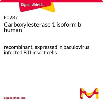 カルボキシエステラーゼ1アイソフォームb ヒト recombinant, expressed in baculovirus infected BTI insect cells