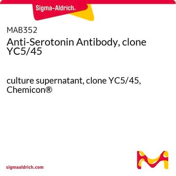 Anticorps anti-sérotonine, clone&nbsp;YC5/45 culture supernatant, clone YC5/45, Chemicon&#174;