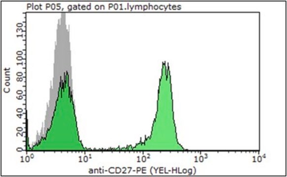 Anti-CD27 Antibody (human), PE, clone O323 clone O323, from mouse