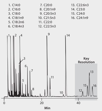 GC Analysis of QA Test Mix Containing FAMEs on Omegawax suitable for GC ...