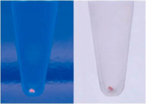 Coprecipitante Pellet Paint&#174; NF Non-fluorescent visible DNA co-precipitant for automated sequencing applications