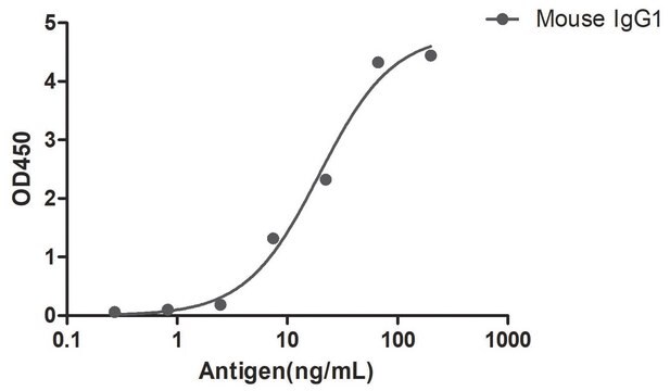 Alpaca Anti-Mouse IgG1(Fc&#947;) single domain Antibody recombinant Alpaca(VHH) Nano antibody