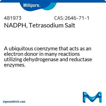 NADPH，四钠盐 A ubiquitous coenzyme that acts as an electron donor in many reactions utilizing dehydrogenase and reductase enzymes.