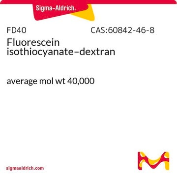 Isotiocianato de fluoresceína-dextrano average mol wt 40,000