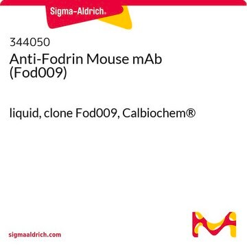 Anti-Fodrin Mouse mAb (Fod009) liquid, clone Fod009, Calbiochem&#174;