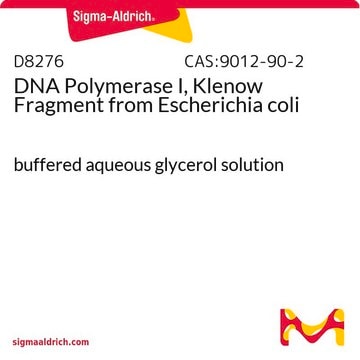 DNA Polymerase I, Klenow Fragment from Escherichia coli buffered aqueous glycerol solution