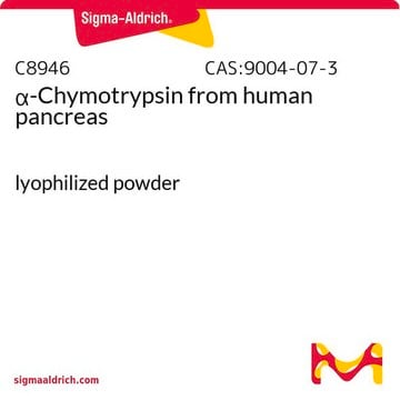 &#945;-Chymotrypsin from human pancreas lyophilized powder