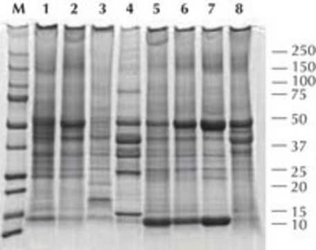 Total Protein Extraction Kit