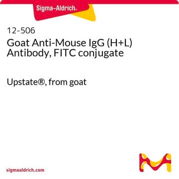 Anti-Maus-IgG(H+L)-Antikörper der Ziege, FITC-Konjugat Upstate&#174;, from goat