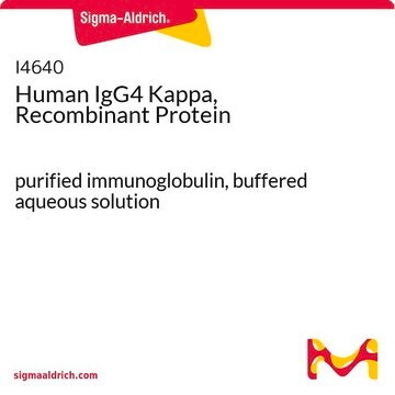 Humanes IgG4, Kappa, rekombinantes Protein purified immunoglobulin, buffered aqueous solution