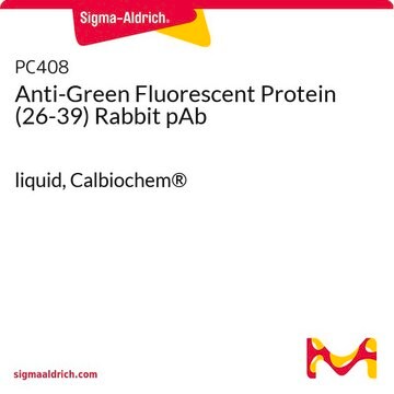 Anti-Green Fluorescent Protein (26-39) Rabbit pAb liquid, Calbiochem&#174;