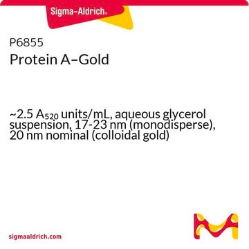 Protein A–Gold ~2.5&#160;A520 units/mL, aqueous glycerol suspension, 17-23&#160;nm (monodisperse), 20&#160;nm nominal (colloidal gold)