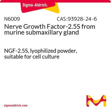 Nervenwachstumsfaktor 2.5S aus Maussubmaxillardrüse NGF-2.5S, lyophilized powder, suitable for cell culture