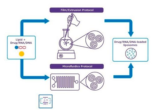 NanoFabTx&#8482;- PEG-RGD Lipid Mix for synthesis of PEGylated RGD-functionalized liposomes