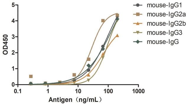 Alpaca Anti-Mouse IgG(Fc&#947;) single domain Antibody recombinant Alpaca(VHH) Nano antibody