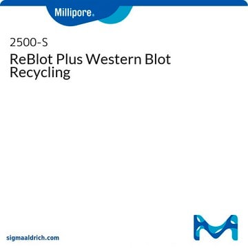 ReBlot Plus Western Blot Recycling