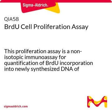 BRDU 细胞增殖检测试剂盒 This proliferation assay is a non-isotopic immunoassay for quantification of BrdU incorporation into newly synthesized DNA of actively proliferating cells.