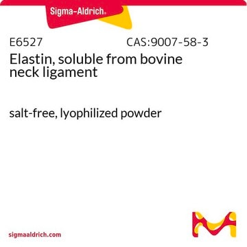 Elastin, soluble from bovine neck ligament salt-free, lyophilized powder