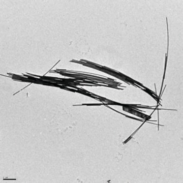 金纳米线 diam. × L 30&#160;nm × 6,000&#160;nm, dispersion (H2O)