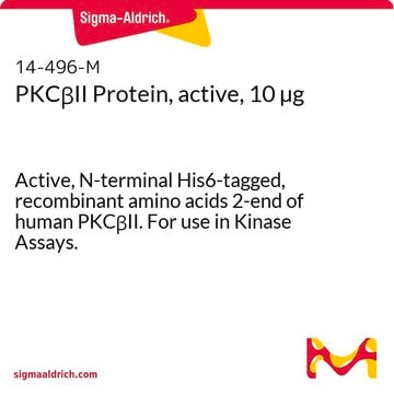 PKC&#946;II Protein, active, 10 &#181;g Active, N-terminal His6-tagged, recombinant amino acids 2-end of human PKC&#946;II. For use in Kinase Assays.