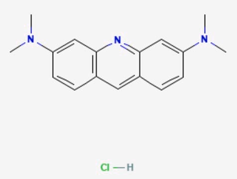 Acridine Orange solution 2% in H2O