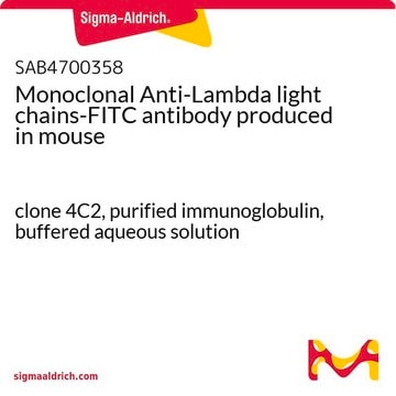 Monoclonal Anti-Lambda light chains-FITC antibody produced in mouse clone 4C2, purified immunoglobulin, buffered aqueous solution