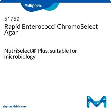 Rapid Enterokokken ChromoSelect Agar NutriSelect&#174; Plus, suitable for microbiology