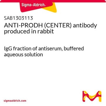 ANTI-PRODH (CENTER) antibody produced in rabbit IgG fraction of antiserum, buffered aqueous solution