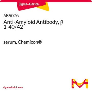 Anticorpo anti-amiloide, &#946; 1-40/42 serum, Chemicon&#174;