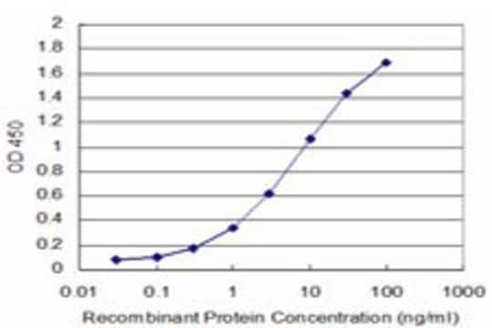 Monoclonal Anti-JAM3 antibody produced in mouse clone 1D3, purified immunoglobulin, buffered aqueous solution