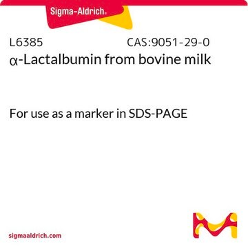 &#945;-Lactalbumin from bovine milk For use as a marker in SDS-PAGE