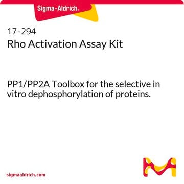 Kit de dosage de l’activation de Rho PP1/PP2A Toolbox for the selective in vitro dephosphorylation of proteins.