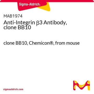 Anti-Integrin &#946;3 Antibody, clone BB10 clone BB10, Chemicon&#174;, from mouse