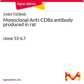 Monoclonal Anti-CD8a antibody produced in rat clone 53-6.7