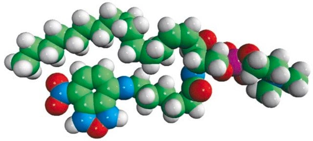 C6-NBD Sphingomyelin Avanti Research&#8482; - A Croda Brand 810218P, powder