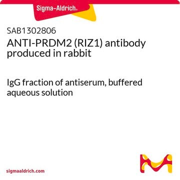 ANTI-PRDM2 (RIZ1) antibody produced in rabbit IgG fraction of antiserum, buffered aqueous solution