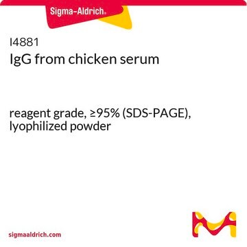 IgG from chicken serum reagent grade, &#8805;95% (SDS-PAGE), lyophilized powder