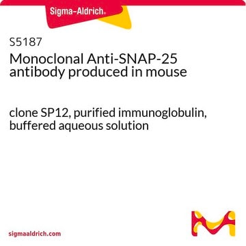 Monoclonal Anti-SNAP-25 antibody produced in mouse clone SP12, purified immunoglobulin, buffered aqueous solution