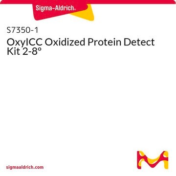 OxyICC Oxidized Protein Detect Kit 2-8º